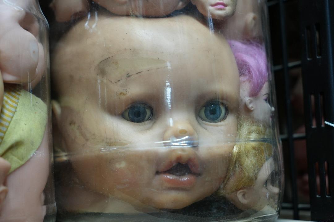 Türkiye de tek: Çocuklar korkmuyor, yetişkinler ürküyor! Görenler hayrete düşüyor 9