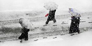 'Asrın kışı geliyor' Meteorologlar tarihi soğuklar bekliyor