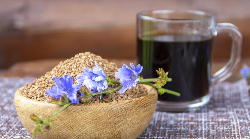 Hindibanın tadı nasıl? Hindibanın tadı neye benziyor?