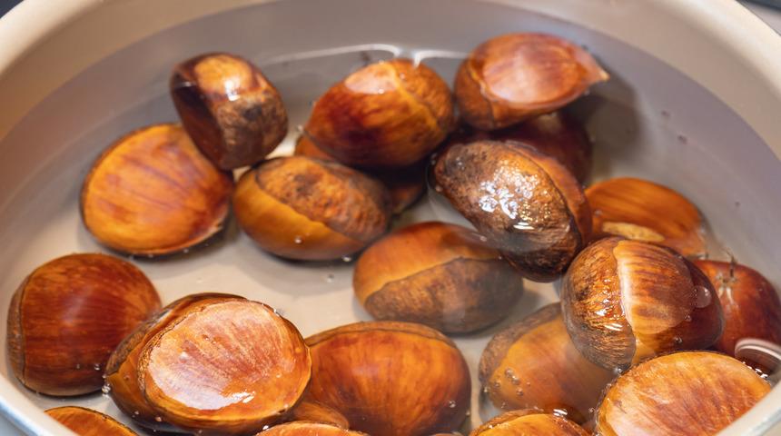 Kestane neden suda bekletilir?