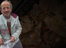 Kilosu 300 liradan 100 liraya düştü! Yol kenarlarında satılıyor