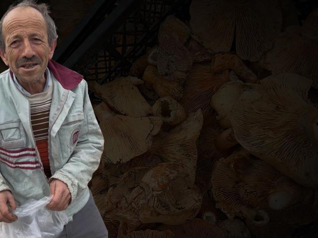 Kilosu 300 liradan 100 liraya düştü! Yol kenarlarında satılıyor