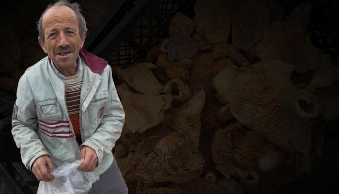 Kilosu 300 liradan 100 liraya düştü! Yol kenarlarında satılıyor