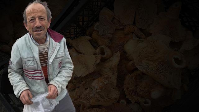 Kilosu 300 liradan 100 liraya düştü! Yol kenarında satılıyor, faydası saymakla bitmiyor