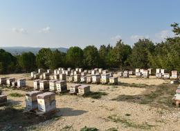 Kilosu 20 bin TL! 'Gördüğümüzü toplatıyoruz'