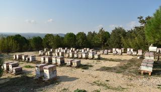 Kilosu 20 bin TL! 'Gördüğümüzü toplatıyoruz'