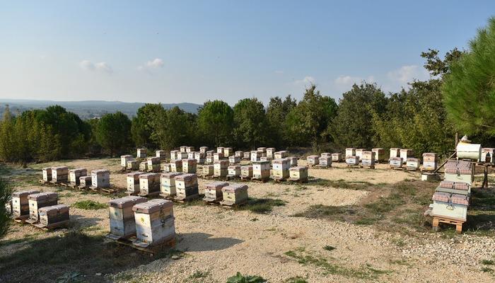 Kilosu 20 bin TL! 'Gördüğümüzü toplatıyoruz'