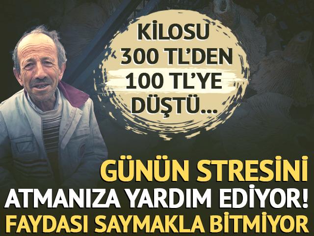 Kilosu 300 liradan 100 liraya düştü! Yol kenarlarında satılıyor