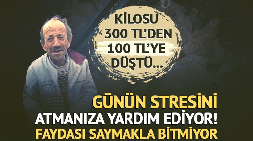 Kilosu 300 liradan 100 liraya düştü! Yol kenarlarında satılıyor