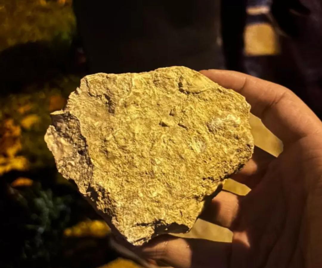 Galatasaray dan eski kaptanı için şok suçlama! Küfür gerilimi büyüyor... Göksenin Köksal dan açıklama 3