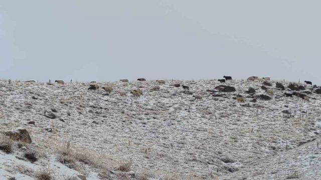 Van’da kış yüzünü gösterdi: Erek Dağı ve çevresi beyaza büründü