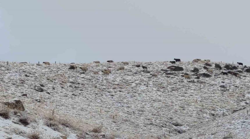 Van&rsquo;da kış y&uuml;z&uuml;n&uuml; g&ouml;sterdi: Erek Dağı ve &ccedil;evresi beyaza b&uuml;r&uuml;nd&uuml;