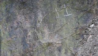 Yaklaşık 200 milyon yıl öncesine ait! Dinozor ayak izleri bulundu