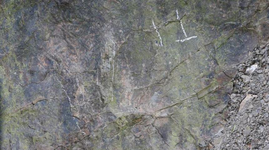 Yaklaşık 200 milyon yıl öncesine ait! Dinozor ayak izleri bulundu