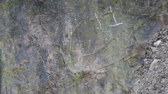 Yaklaşık 200 milyon yıl öncesine ait! Dinozor ayak izleri bulundu