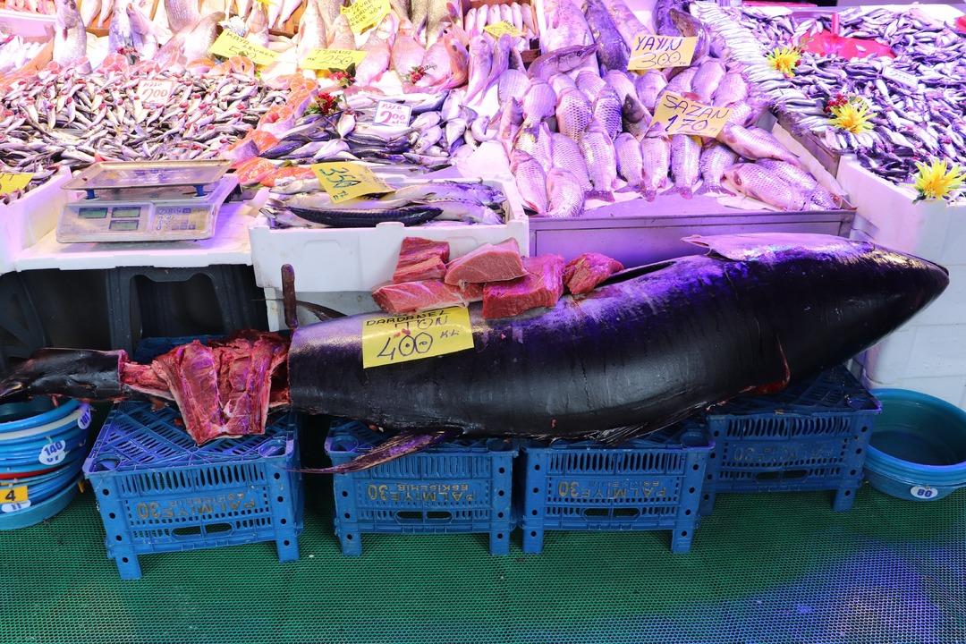 Özel izinle satışa çıktı  Görünce afallıyorlar  Sadece Avrupa da satılıyordu 3