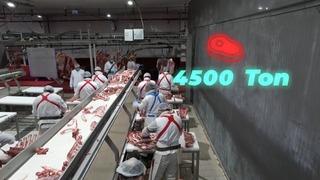 Bakan Yumaklı: 4 bin 500 ton kırmızı et üretimi ile Elazığ’ın tarımsal ve ekonomik potansiyeline güçlü bir katkı sağlayacağız