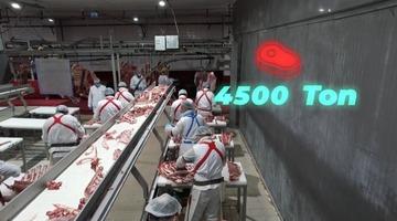 Bakan Yumaklı: "4 bin 500 ton kırmızı et üretimi ile Elazığ’ın tarımsal ve ekonomik potansiyeline güçlü bir katkı sağlayacağız"