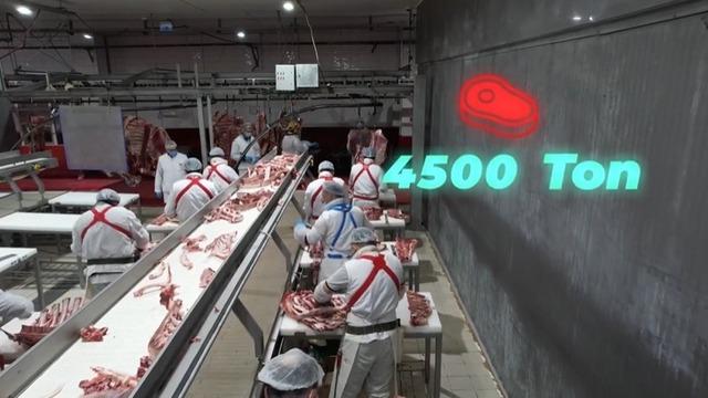 Bakan Yumaklı: 4 bin 500 ton kırmızı et üretimi ile Elazığ’ın tarımsal ve ekonomik potansiyeline güçlü bir katkı sağlayacağız