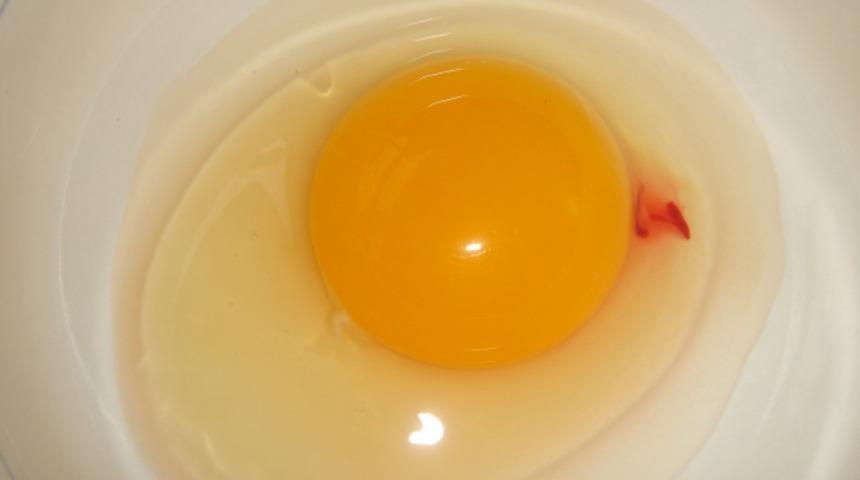 Kan lekesi olan yumurta yenebilir mi? 