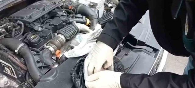 92 kilo bonzai hammaddesi taşıyan 2 şüpheli gözaltına alındı 1