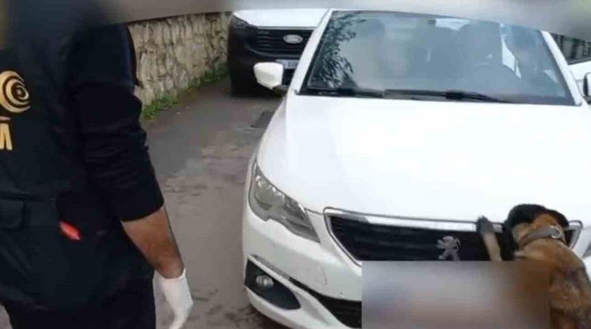 92 kilo bonzai hammaddesi taşıyan 2 şüpheli gözaltına alındı