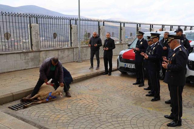 Kırşehir güvenlik filosu güçlendi: 87 araç hizmete alındı 5