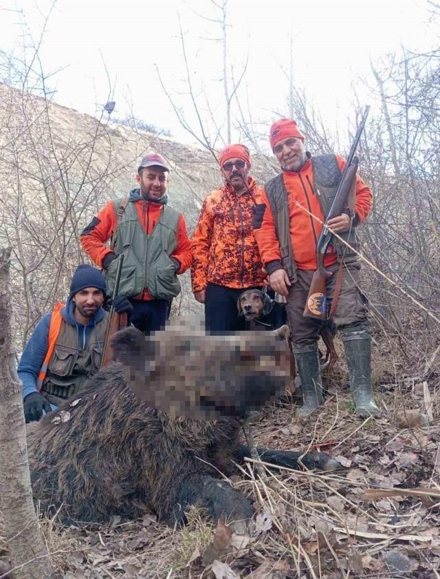 Elazığ’da avcılar sürü halinde domuz avladı 1