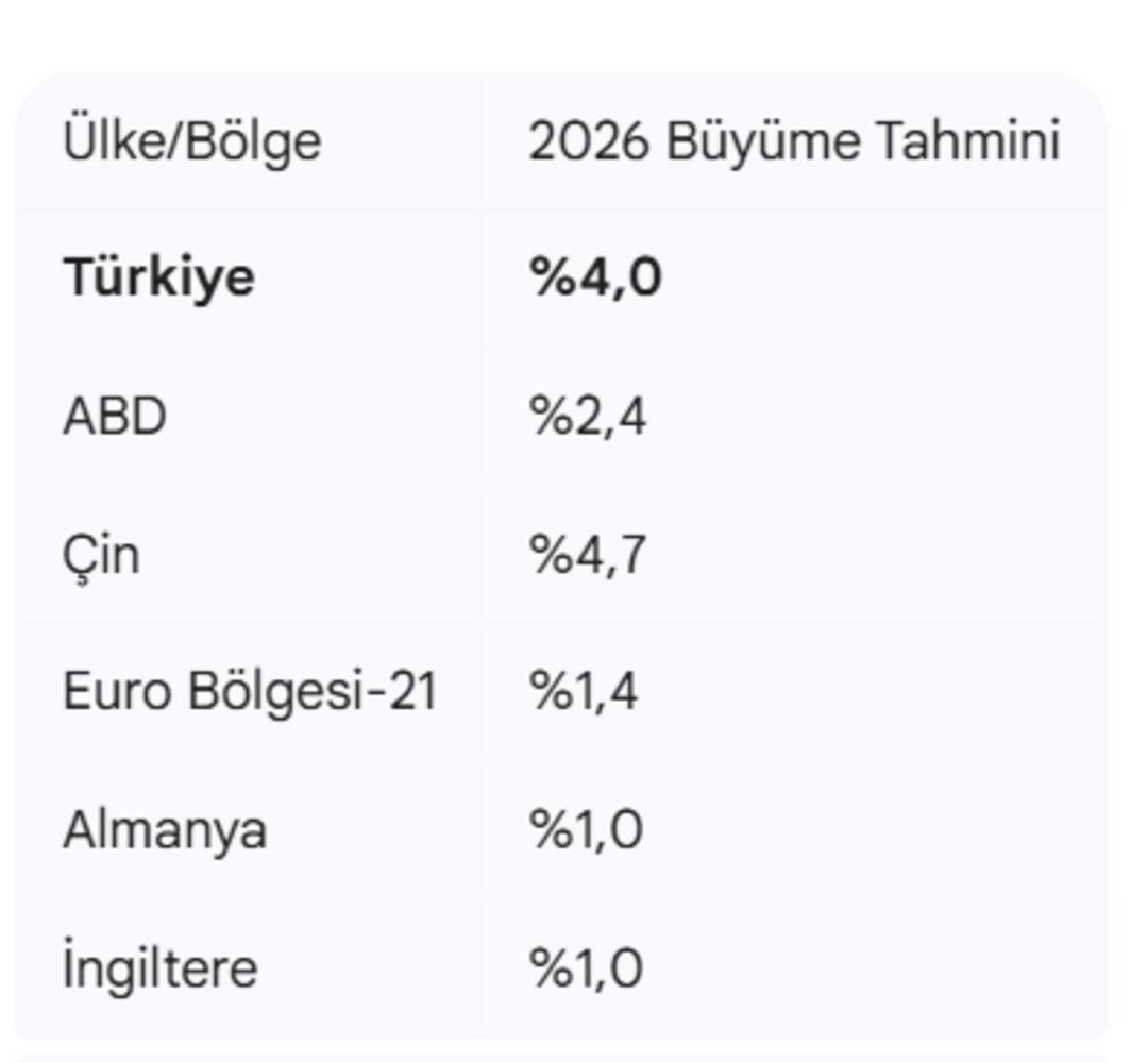 Scope Ratings, Türkiye için büyüme tahminlerini yükseltti!  3