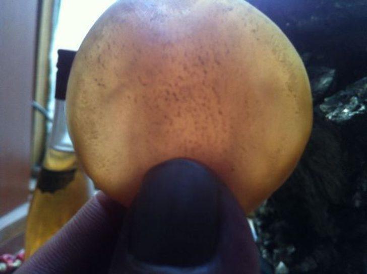 Yakaladığı balığın içinden çıkanlar şaşırttı G2