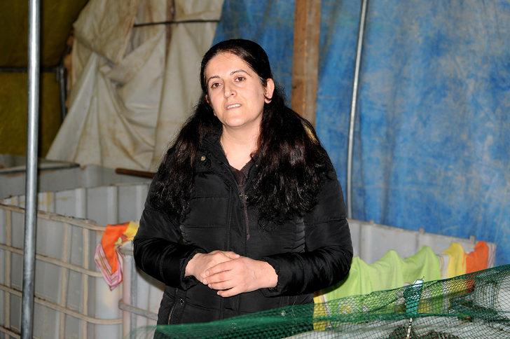 Solucan gübresi üretiyor, siparişlere yetişemiyor G1