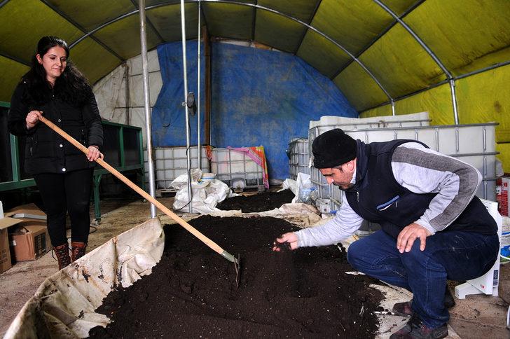 Solucan gübresi üretiyor, siparişlere yetişemiyor G4