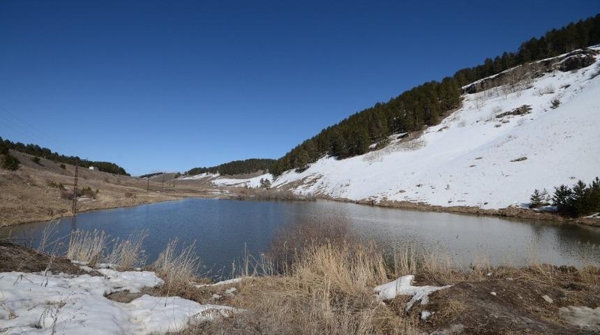 Sarıkamış &Ouml;rdek G&ouml;l&uuml; misafirlerini ağırlamaya başladı