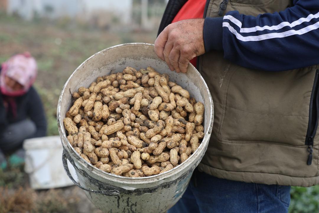 Bizim için ucuz müşteri için pahalı 10 dönümde yapıyorlar 3