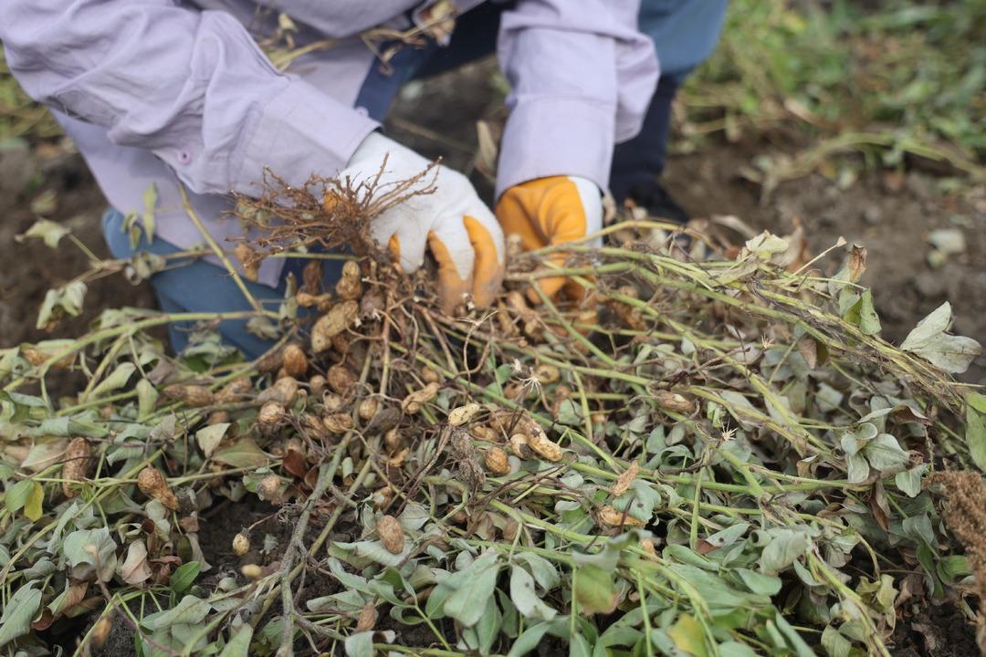 Bizim için ucuz müşteri için pahalı 10 dönümde yapıyorlar 4