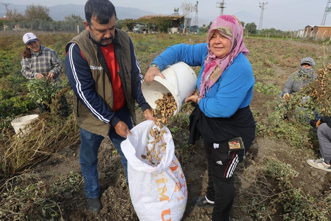  Bizim için ucuz müşteri için pahalı  10 dönümde yapıyorlar 8
