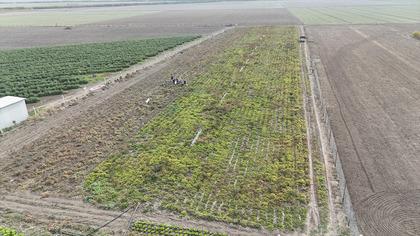 'Bizim için ucuz müşteri için pahalı' 10 dönümde yapıyorlar