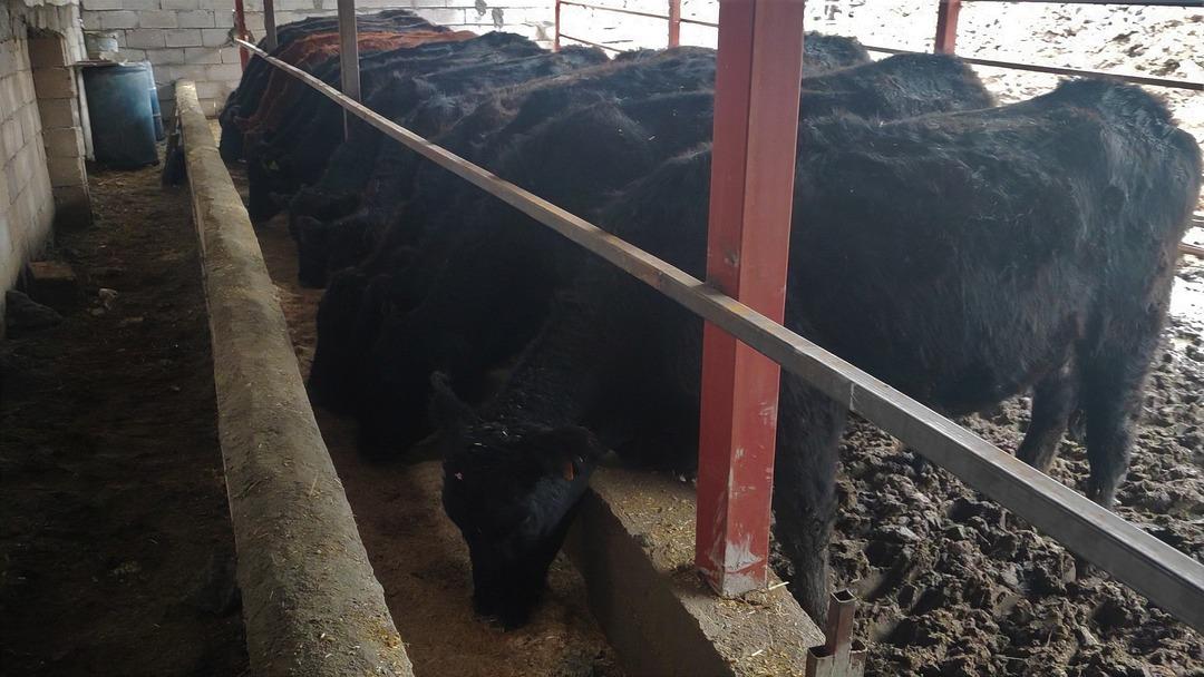 Atama beklerken o işe başladı: Sosyal medyada görüp başvurduk 3