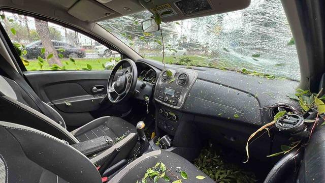 Mersin’de devrilen ağaç, seyir halindeki 3 araca zarar verdi 4