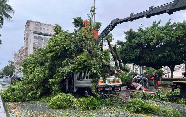 Mersin’de devrilen ağaç, seyir halindeki 3 araca zarar verdi 2