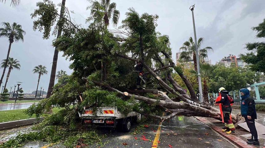 Mersin’de devrilen ağaç, seyir halindeki 3 araca zarar verdi