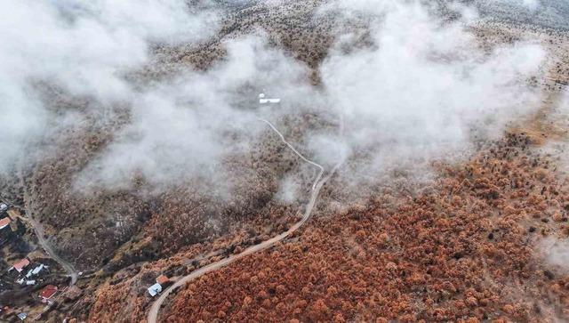 Çankırı’da sis ve kızıla bürünen ormanların buluşması mest etti 2
