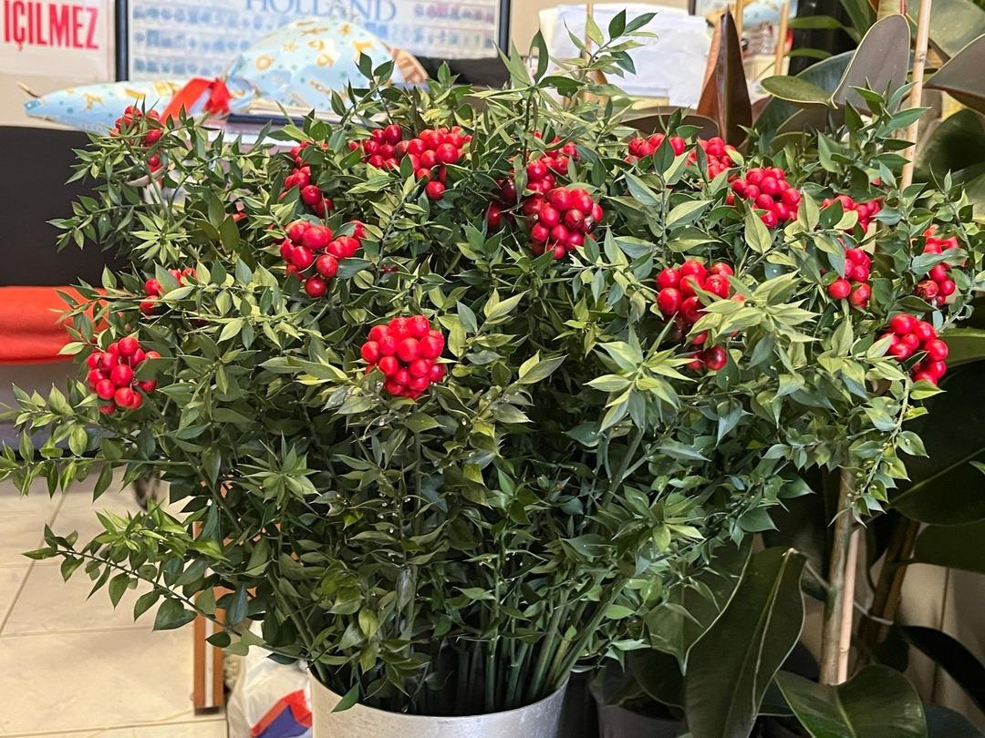 Son 10 yılda trend oldu! Kilosu 500 TL: Aralık ayında çok satıyor 1