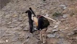 60 kiloluk balığı iki kişi zor taşıdı