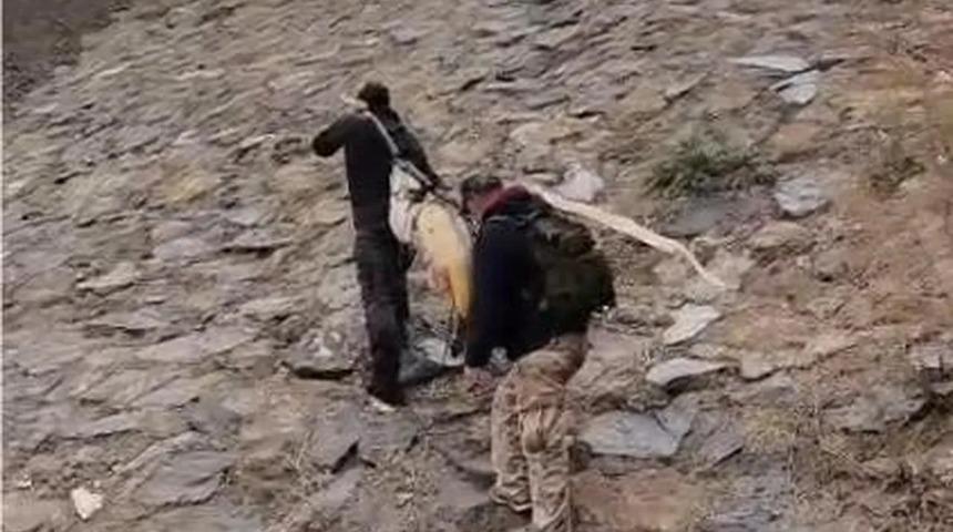 60 kiloluk balığı iki kişi zor taşıdı