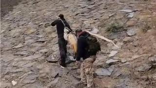 60 kiloluk balığı iki kişi zor taşıdı