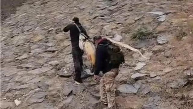 60 kiloluk balığı iki kişi zor taşıdı