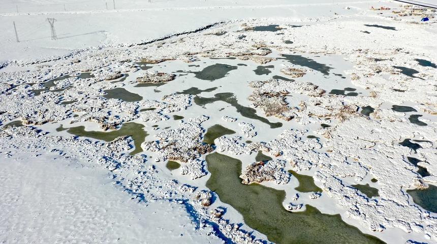 Göçmen kuşlarını ağırlıyordu! O göl dondu