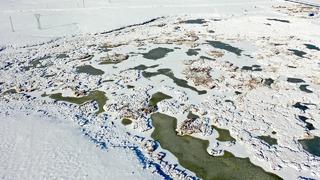 Göçmen kuşlarını ağırlıyordu! O göl dondu
