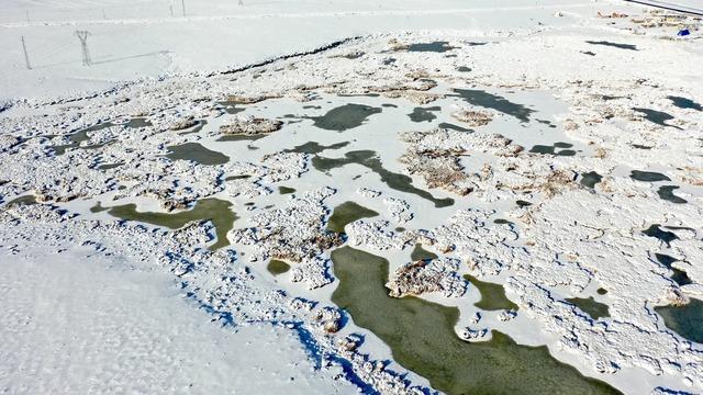 Göçmen kuşlarını ağırlıyordu! O göl dondu